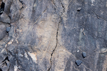 Similar image 1499025