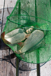 Similar image 1499072