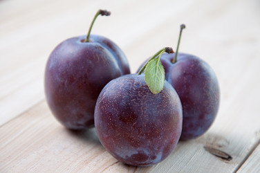 Similar image 1499073