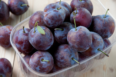 Similar image 1499075