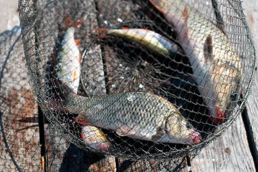 Similar image 1499081