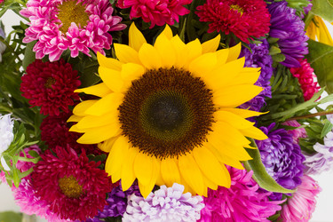 Similar image 1499087