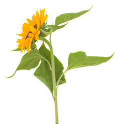 Similar image 1499091