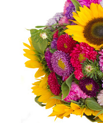 Similar image 1499093