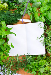 Similar image 1499094