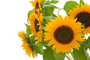 Similar image 1499098