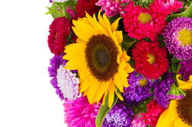 Similar image 1499112