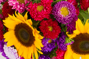 Similar image 1499113