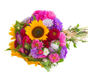 Similar image 1499114