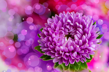 Similar image 1499119