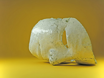 Similar image 1499144