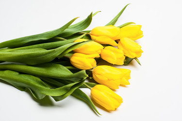 Similar image 1499152