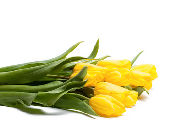 Similar image 1499154