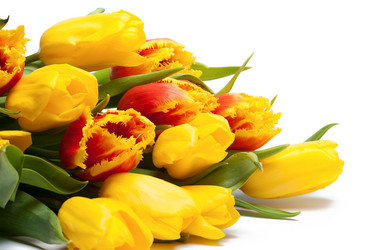 Similar image 1499156