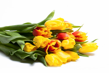 Similar image 1499157