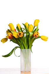 Similar image 1499158