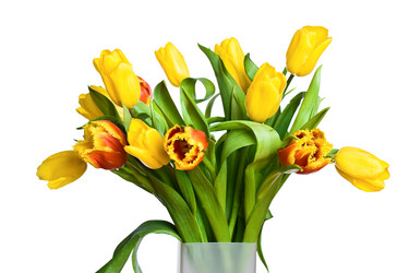 Similar image 1499159