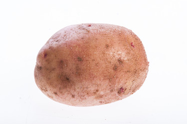 Similar image 1499160