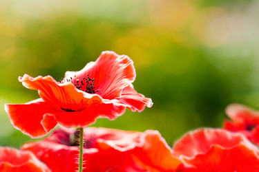 Similar image 1499163