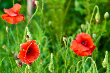 Similar image 1499172