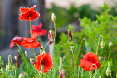 Similar image 1499173