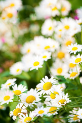 Similar image 1499174