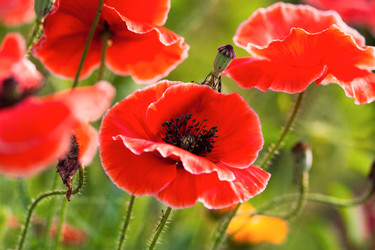 Similar image 1499175