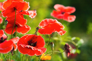 Similar image 1499176