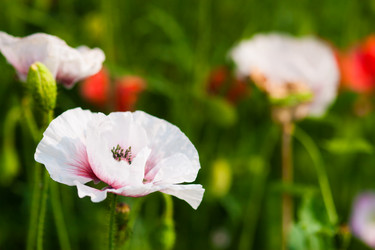 Similar image 1499177