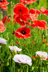 Similar image 1499178