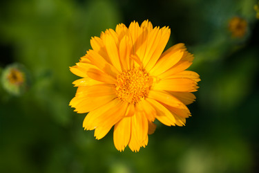 Similar image 1499179