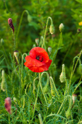 Similar image 1499180