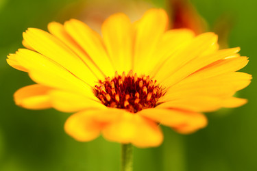 Similar image 1499185