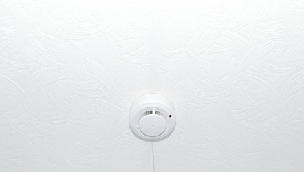 Similar image 1499555