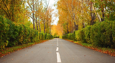 Similar image 1499558