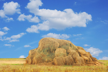 Similar image 1499570