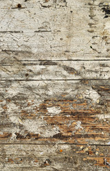 Similar image 1499573