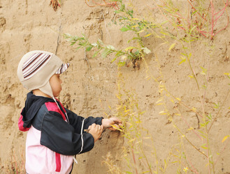 Similar image 1499591