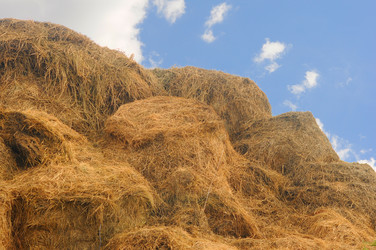 Similar image 1499597