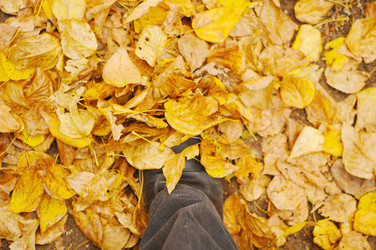 Similar image 1499600