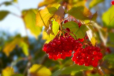 Similar image 1499728