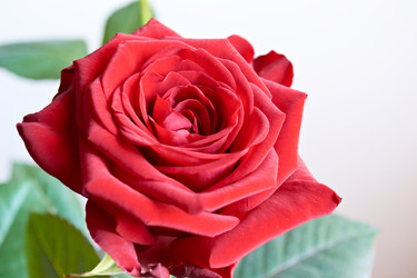 Similar image 1499729