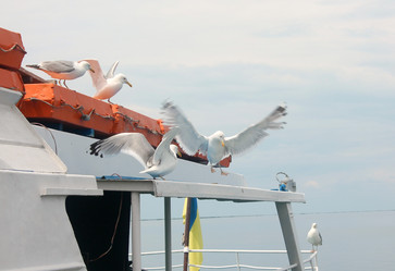 Similar image 1499764