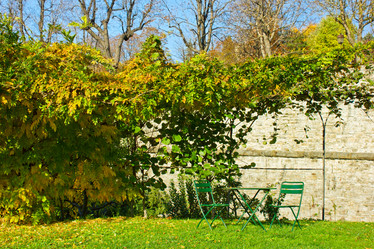 Similar image 1499782