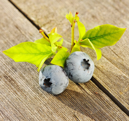 Similar image 1499936