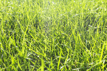 Similar image 1499953