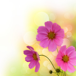 Similar image 1499991