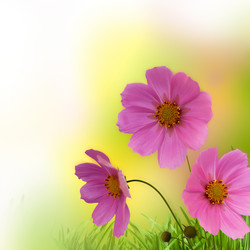 Similar image 1499994