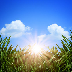 Similar image 1500001