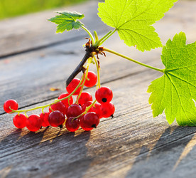 Similar image 1500002